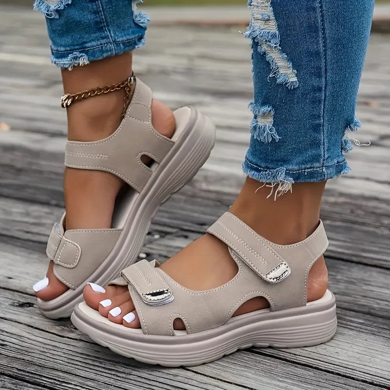 Kaki / 43